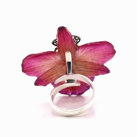 MOD.SILVIA APE AN (1)