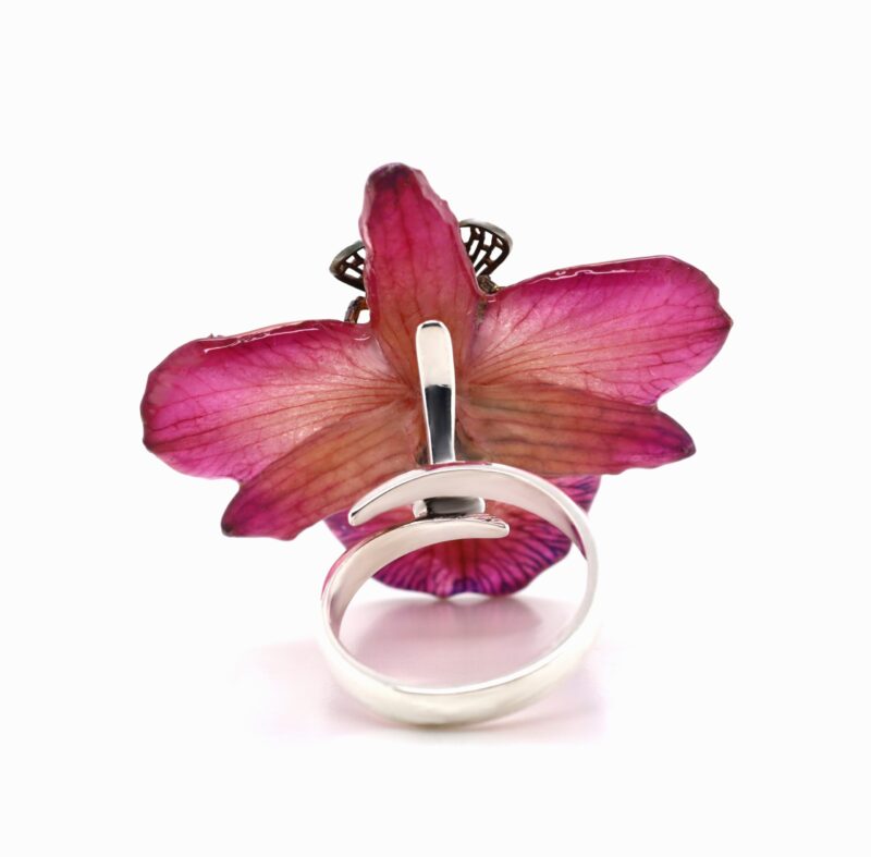 MOD.SILVIA APE AN (1)