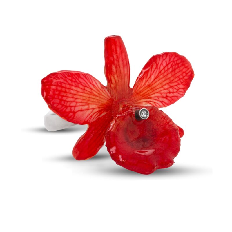 variante Rossa MOD.21A BR