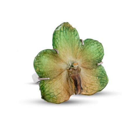 Anello in Argento Bianco 925 montato con Orchidea vera.
