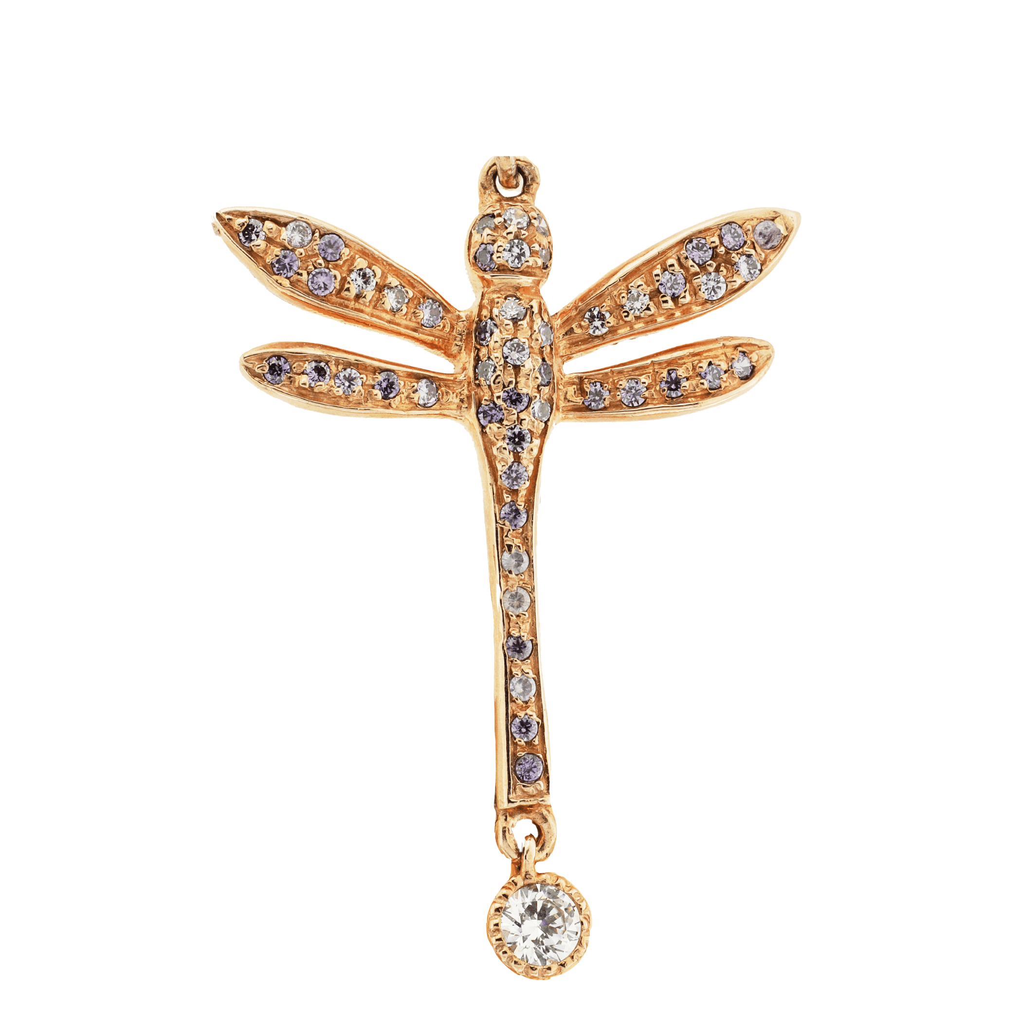 Libellula incastonata